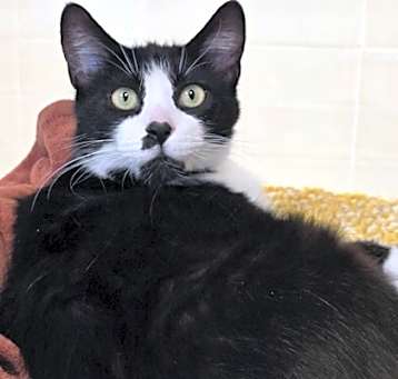 Photo of Matilda