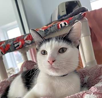 Photo of Edith