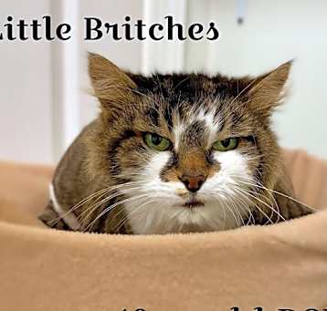 Photo of Little Britches