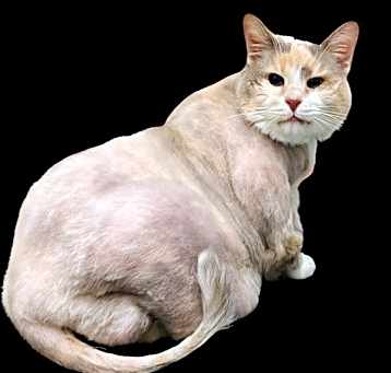 Photo of Fanny