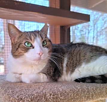 Photo of Cassie Marie