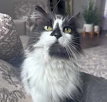 Photo of Tina