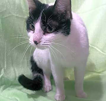 Photo of Leonora