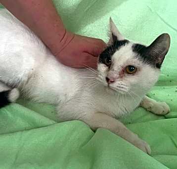 Photo of Libby