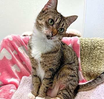 Photo of Luna