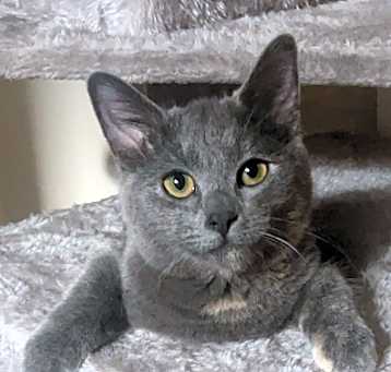 Photo of Bylleigh