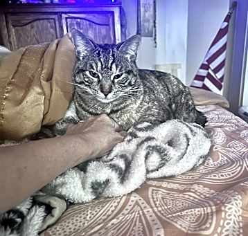 Photo of Tippy Lou