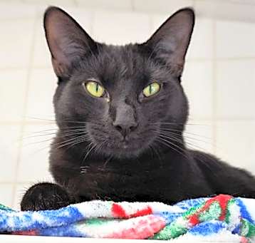 Photo of MAURICE