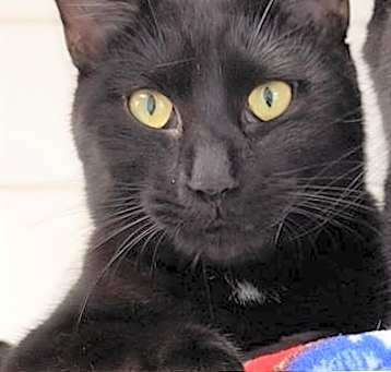 Photo of BERRY