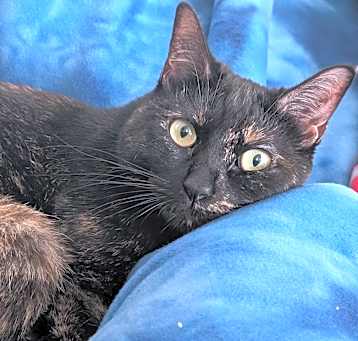 Photo of Kiki