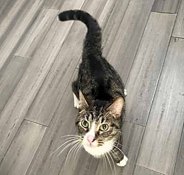 Photo of Bean