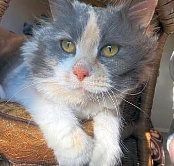 Photo of Betty