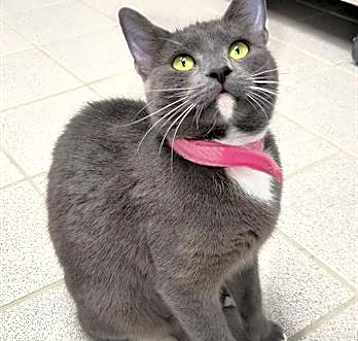 Photo of FRAN