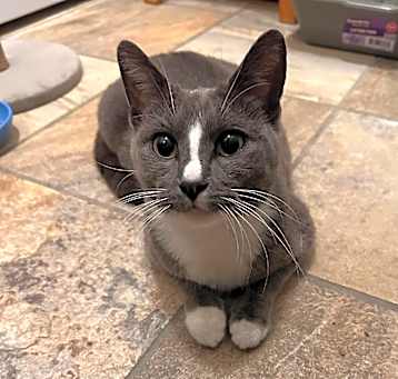 Photo of  Kitty Kate