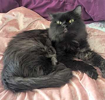 Photo of Don