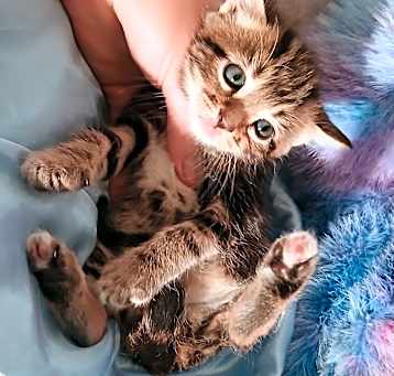 Photo of Timmy