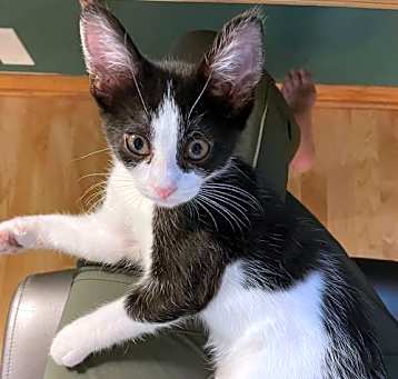 Photo of Minni