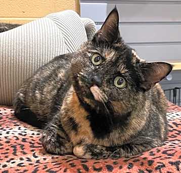 Photo of Myla