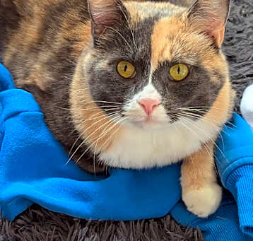 Photo of LILLY