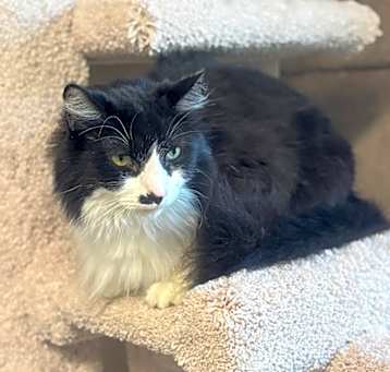 Photo of Alvin