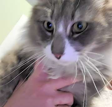 Photo of Max