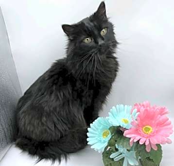 Photo of Ebbi