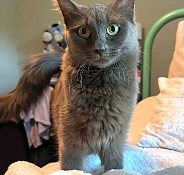 Photo of Angel