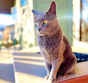 Photo of Wick