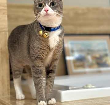 Photo of Francesca 0859