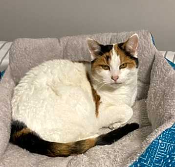 Photo of Zeus