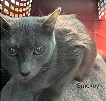 Photo of Smokey Girl