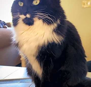 Photo of Maggie