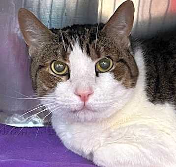 Photo of Jasper 2