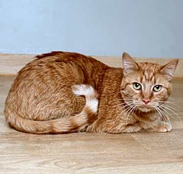 Photo of Rutger C64914