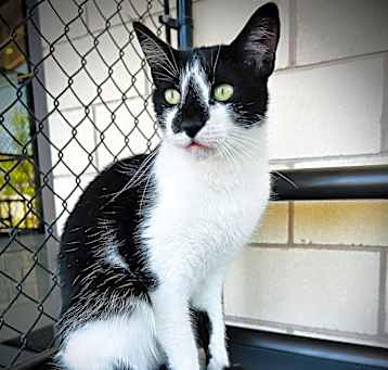 Photo of Cubby