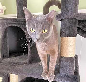 Photo of Misty