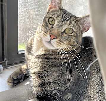 Photo of Toulouse