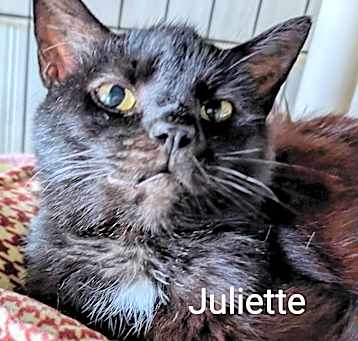 Photo of Juilette
