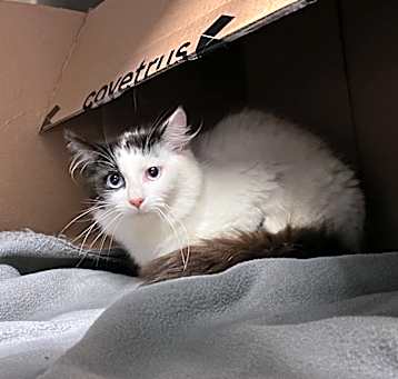 Photo of Louise