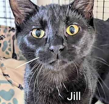Photo of Jill
