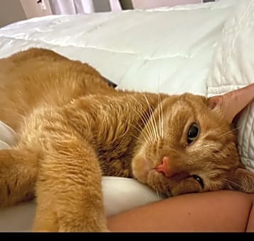 Photo of Oliver