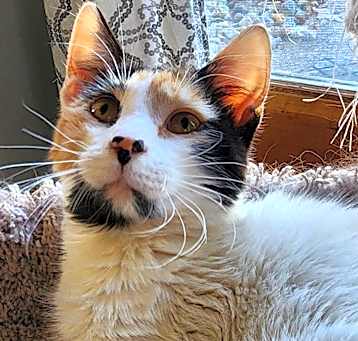 Photo of Penelope