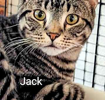 Photo of Jack