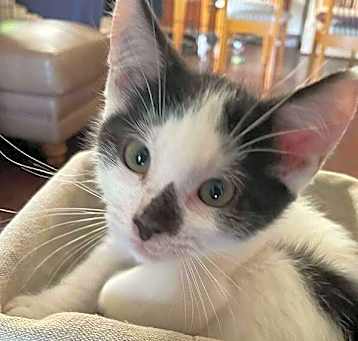 Photo of Sol