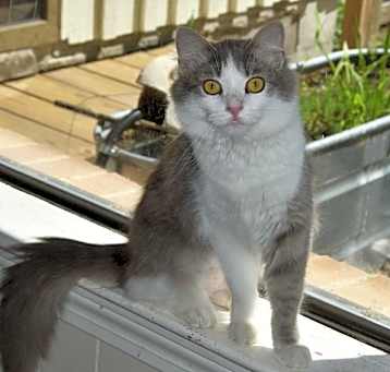 Photo of Lillian