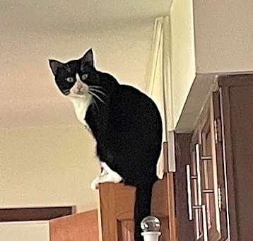 Photo of Kevin