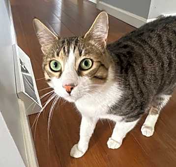 Photo of Zuzu
