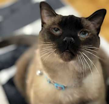 Photo of Mila