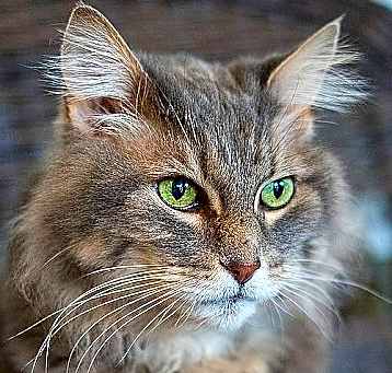 Photo of Stormy