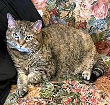 Photo of Storm
